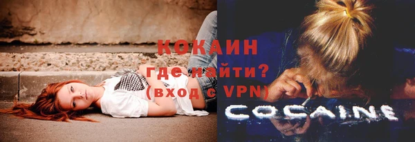 сатива Белоозёрский
