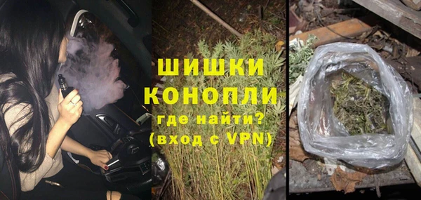 сатива Белоозёрский