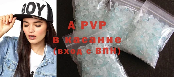 сатива Белоозёрский