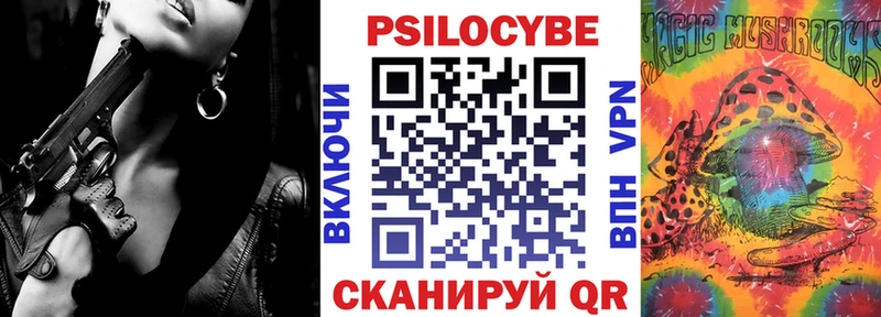 Галлюциногенные грибы Psilocybe  наркотики  Саяногорск 